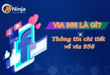 Những điều cần biết về via 956